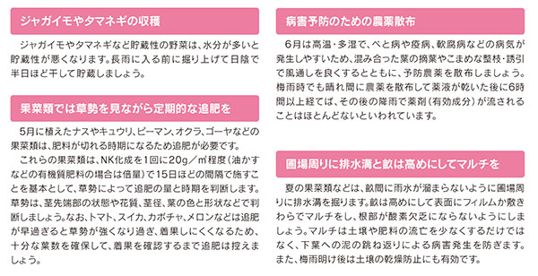 ごあいさつ　代表理事組合長　藤　政行