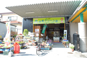 中部グリーン店